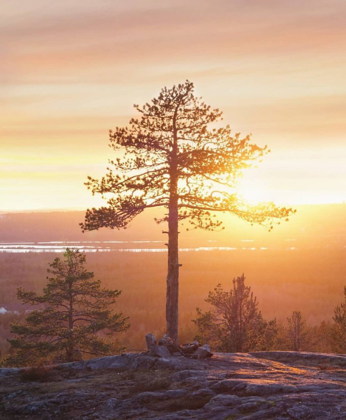 Mesmerizing Winter Wonderland Photos of Lapland in Finland