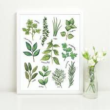 Image result for plant prints