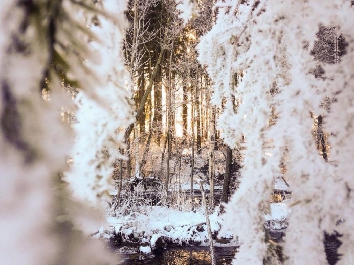 Instagram Spotlight: Mari Strømsbo Gjørv