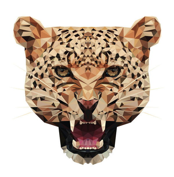 TETAH.jpg #triangulation #cheetah #triangles