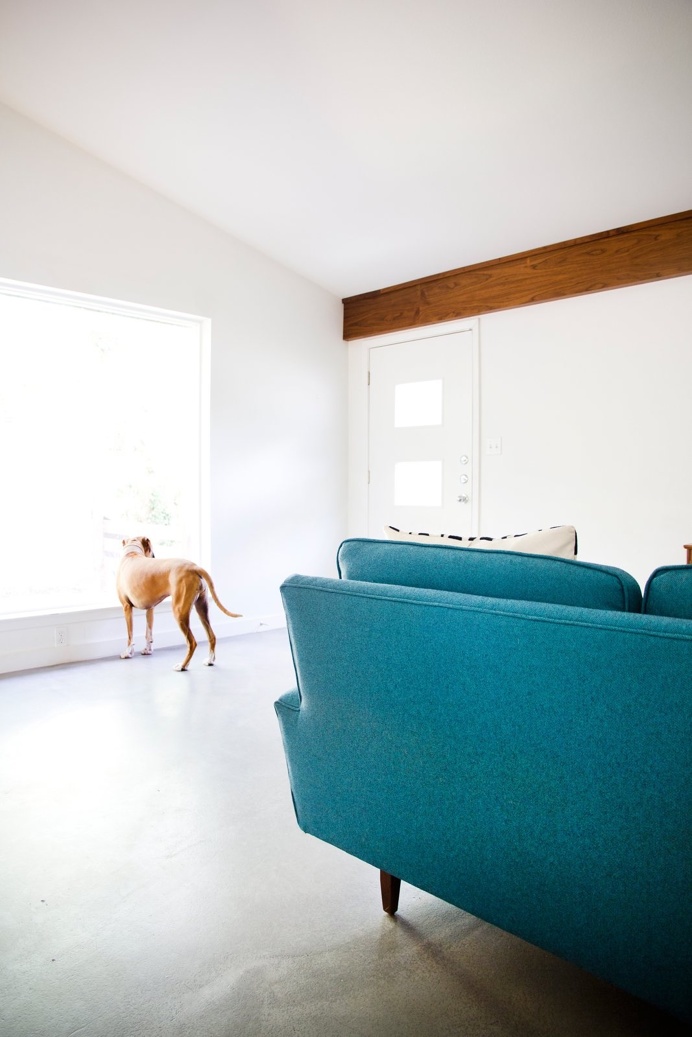 Boxer in a mid-century minimalist living room. Photo by Adrienne Breaux. #dog #pet #midcenturymodern #livingroom #gabledceiling