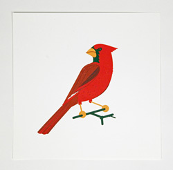 cardinal, red, bird, illustration, perch