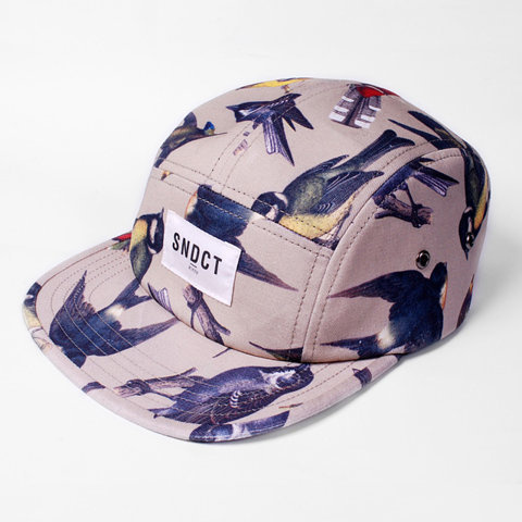 Birds 5 panel cap ⁄ Магазин ⁄ Syndicate #cap #panel #5