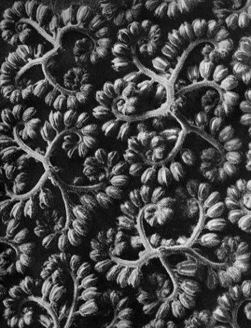 FFFFOUND! | but does it float