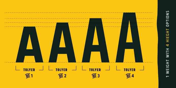 Tolyer Font Poster #font #tolyer #web #typography