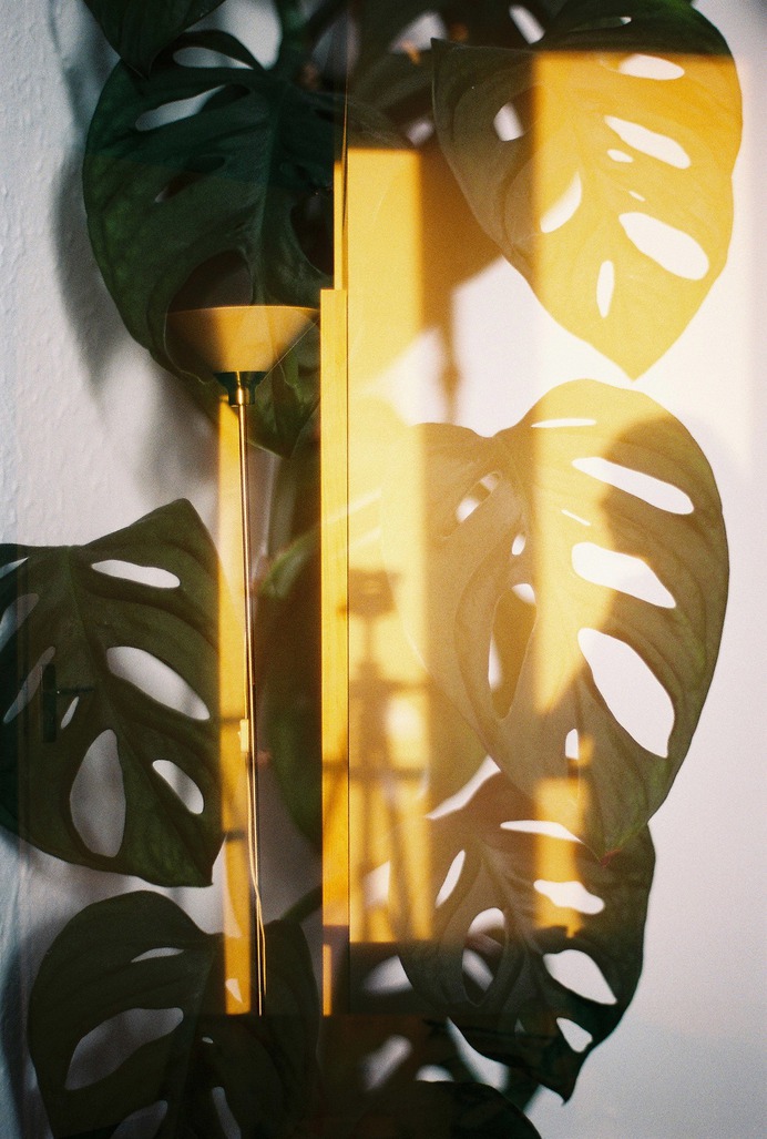 Photographer Spotlight: Sonia Perdeck – BOOOOOOOM! – CREATE * INSPIRE * COMMUNITY * ART * DESIGN * MUSIC * FILM * PHOTO * PROJECTS