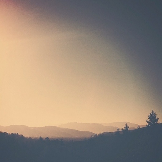 B3PO | Morning Walk #b3po #instagram #photography #landscapes #nature
