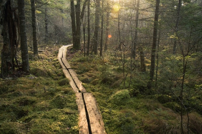 http://www.polerstuff.com/collections/adventures/products/adventure-37a