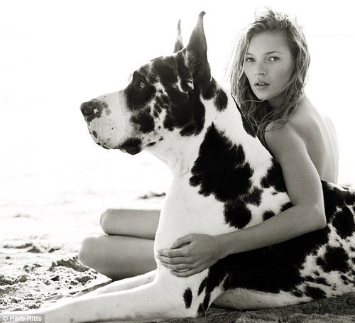 Herb Ritts, Kate Moss #woman #dog #photography #moss #kate