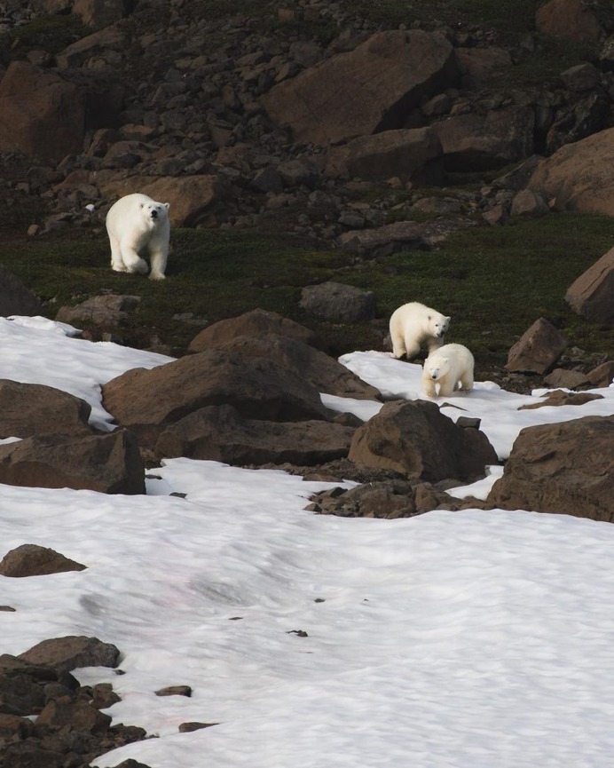 The Silent Arctic Photographic Expedition in Greenland by Joe Shutter