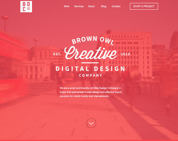 13 Beautiful Examples of Colorful Websites #creative #red #owl #design #digital #brown #layout #web #typography