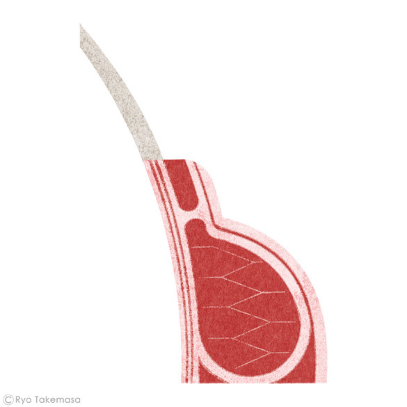 #illustration #food