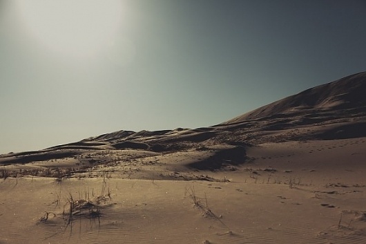 NAVIS PHOTOBLOG #photography