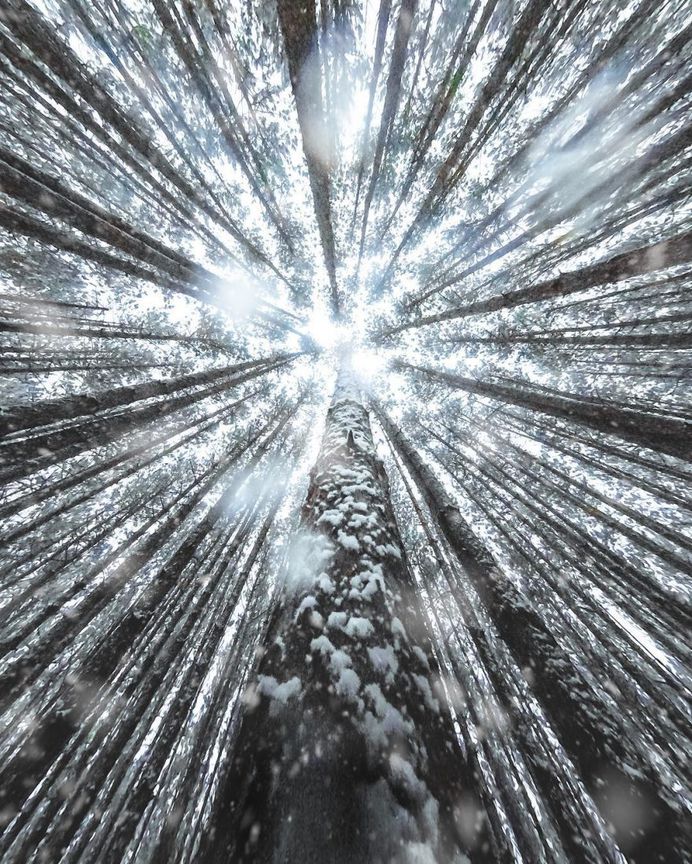 Fantastic Nature Photography by Logan Brown