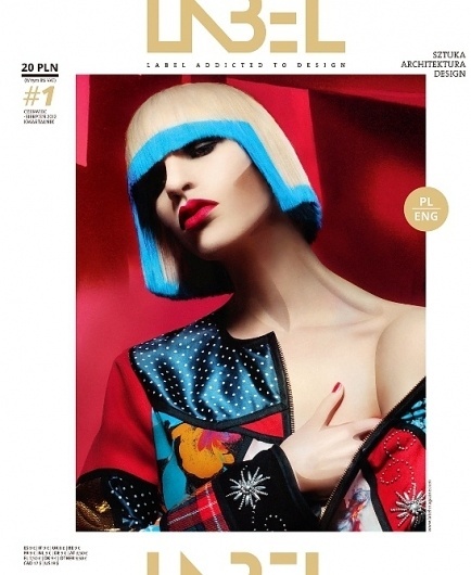 900140resizeBigger001_1338208680.jpg 547×667 pixels #lempicka #addicted #design #label #photography #fashion #magazine