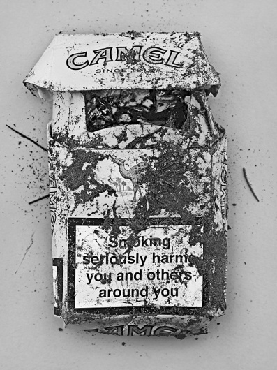 Portfolio | Special Projects « RANKIN #rubbish #photography #rankin