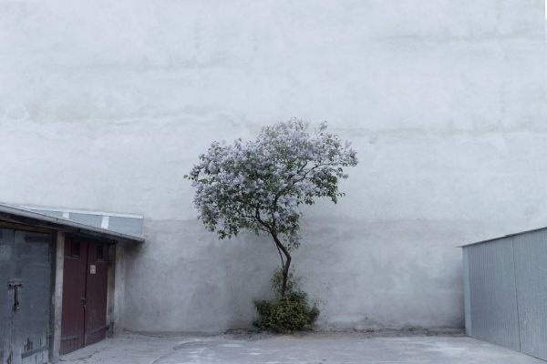 Weronika Izdebska | PICDIT