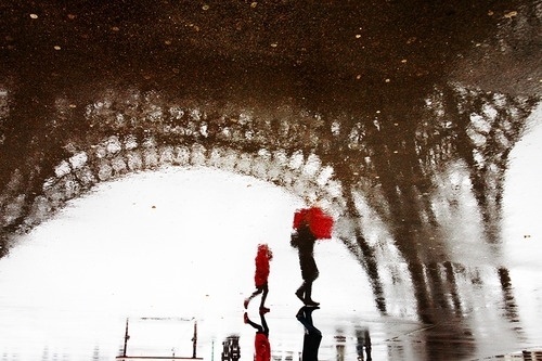 Wall-B World Wild #puddle #paris #rain #reflection