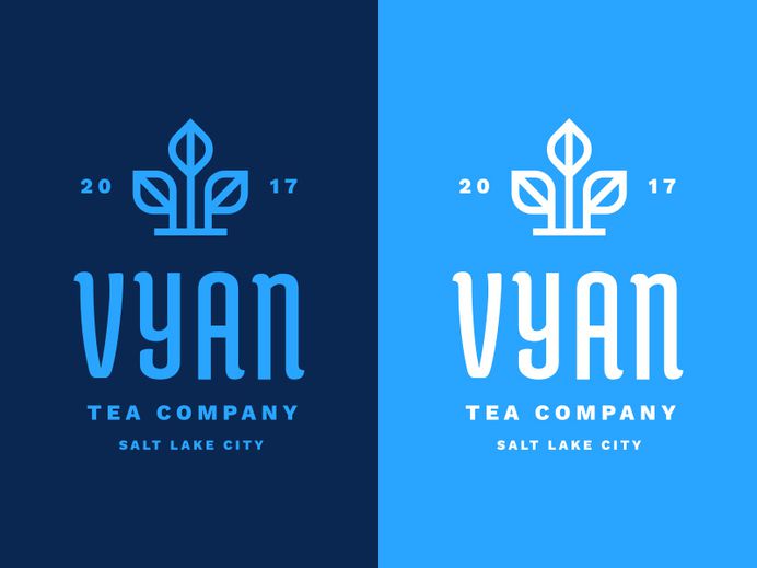Vyan final