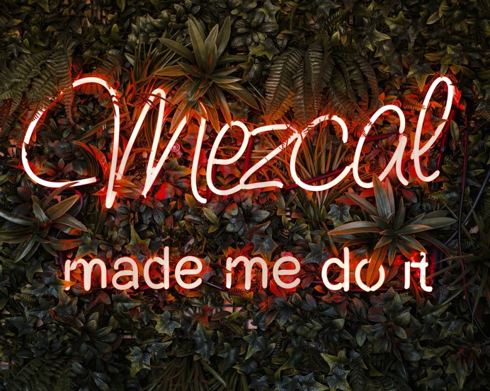 Neon Garden