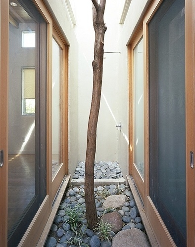 All sizes | Pocket Courtyard | Flickr - Photo Sharing! #interior #house #tree #courtyard #architecture