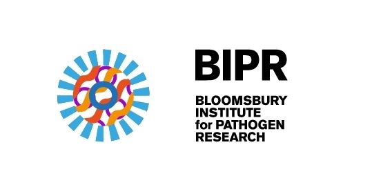 BIPR #logo #generative #branding