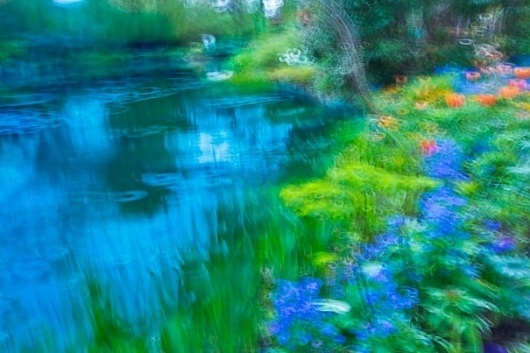 The garden of Monet #photography