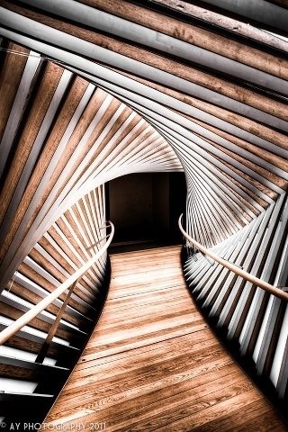 The Black Workshop #photograhy #architecture