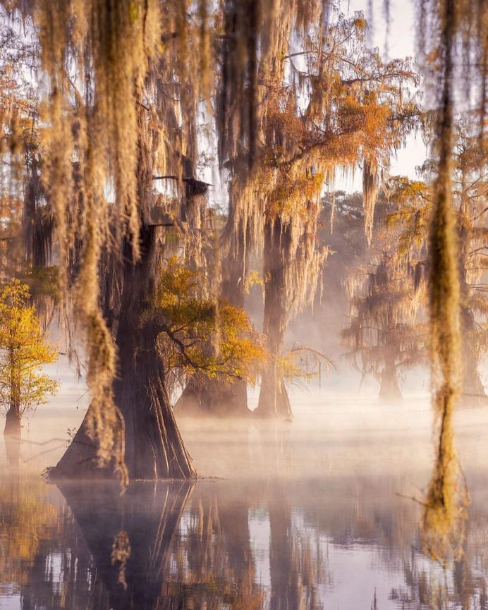 Breathtaking Autumn Landscapes by Matt Walker