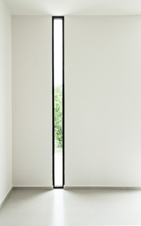 B_02 #window #light #architecture #trees