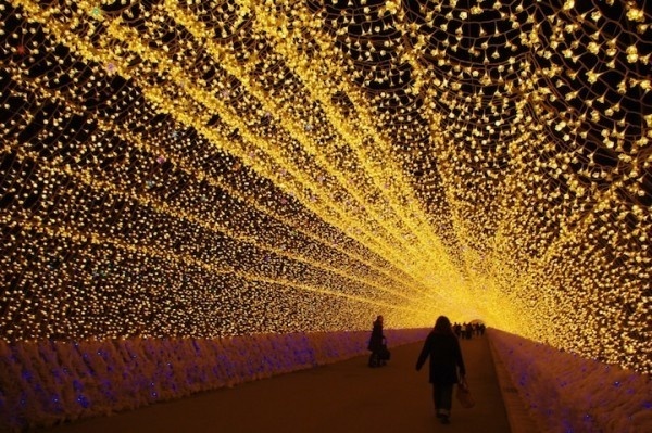Japans Tunnel of Lights 6 #tunnel #light #japan #installation