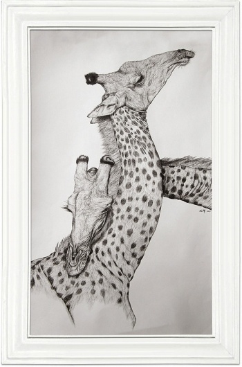 Animal Series-Floating zoo on the Behance Network #illustration
