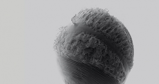 James Huse | Graphic Design & Photography | An Abrupt End #photography #experiment