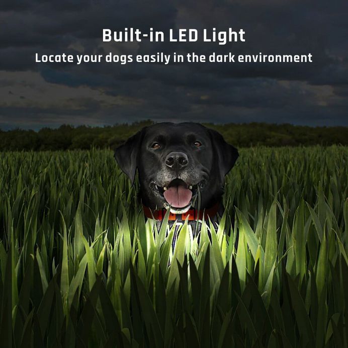 iSPECLE Waterproof Rechargeable 2600ft Remote Dog Shock Collar Review