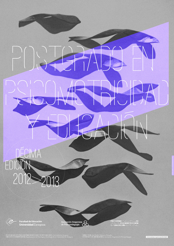 Postgrado Zaragoza #modular #shadows #aligned #center #photo #typography #based #grid #purple #poster #diagonal #grey