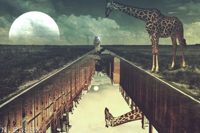 #Editorial#Photo editor#collage Maker#surreal
