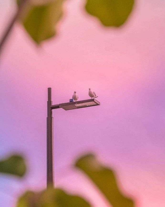 Simple and Stunning Minimalist Photography by Anton Kollo