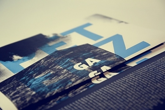 gagarin: THE ARTISTS IN THEIR OWN WORDS on the Behance Network #feitsma #geoffrey #screenprint #gagarin #screen