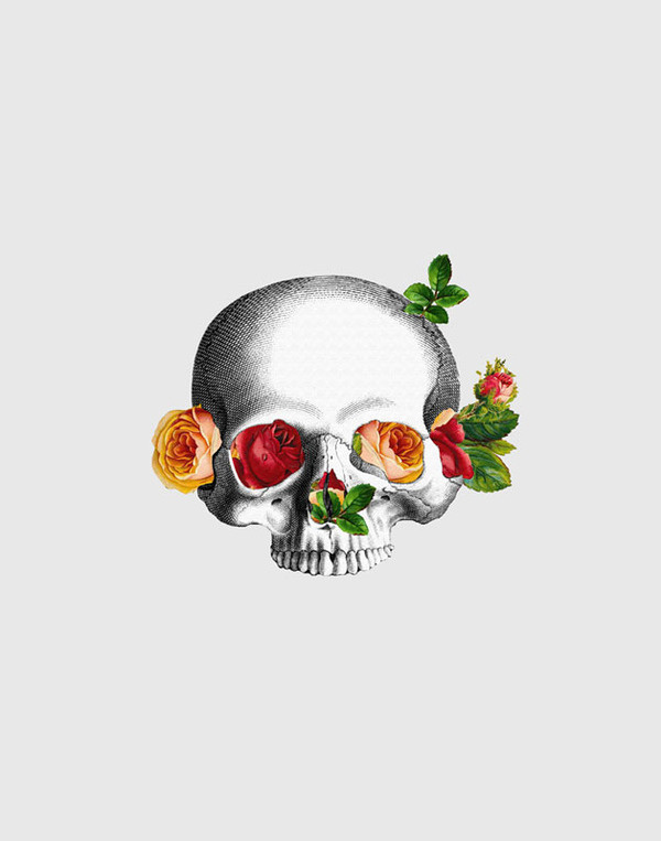 Anatomy & Roses on Behance #death #life