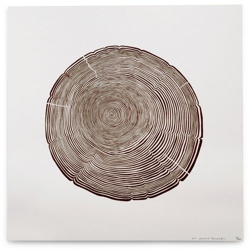 TODD ST. JOHN #silkscreen #todd #treerings #st #john