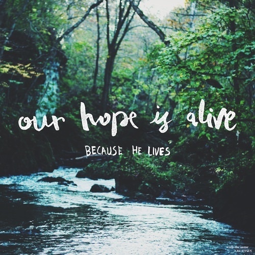 Our Hope is Alive