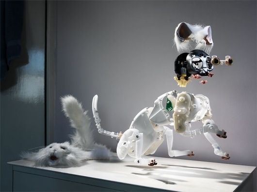 Holger Pooten Photography #transformer #white #cat #robot
