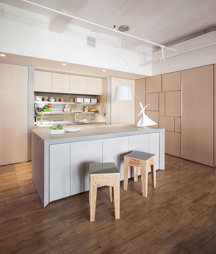 Chelsea 25th Street Loft in New York City / Design-Apart