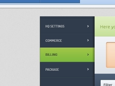 Dribbble - Admin Panel by Frantisek Kusovsky #web