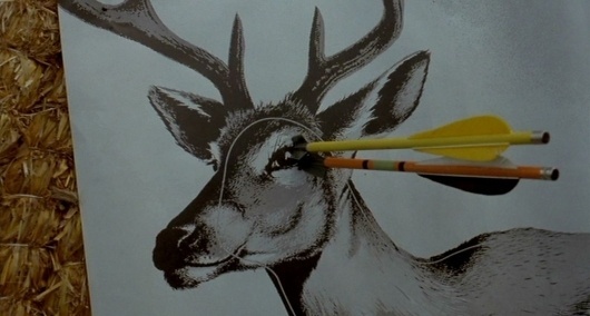 THE ORGANIZED MESS #still #animal #film