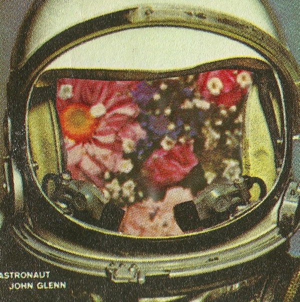 collage i made #model #girl #surf #photo #design #hawnhigginsart #random #art #fashion #skateboard #beach #drawing #collage #flowers