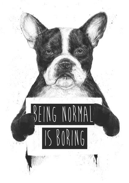 Being normal is boring - by Balazs Solti #typography