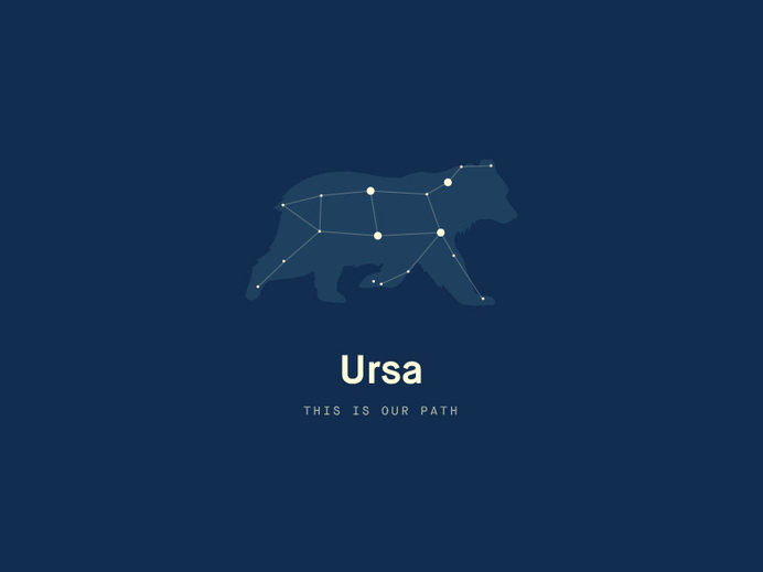 bear logo design #constellation #major #type #emblem #logo #stars #ursa #bear #blue #typography