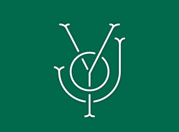 mkn design Michael Nÿkamp #typography #green #letters #font #joy #interset