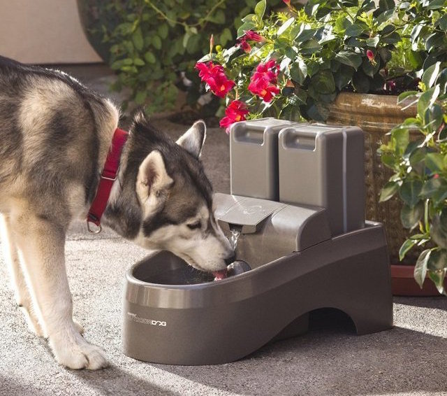 Drinkwell Indoor Outdoor Dog Fountain #tech #flow #gadget #gift #ideas #cool